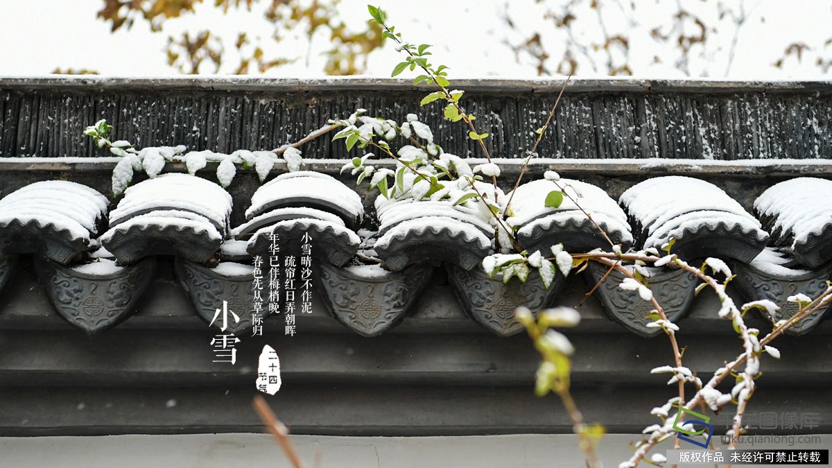 小雪气寒将雪矣