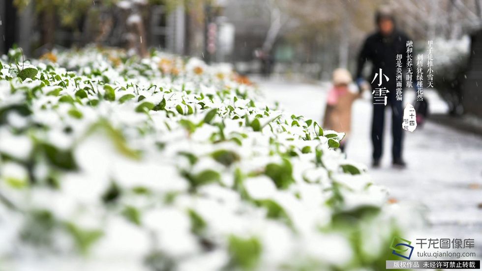 小雪氣寒將雪矣