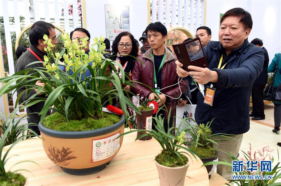 第五屆中國蘭花大會在福建連城開幕