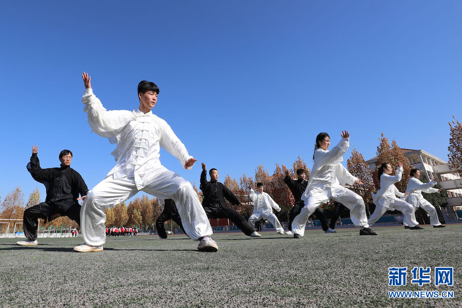 焦作溫縣：傳承國粹 “武”動校園