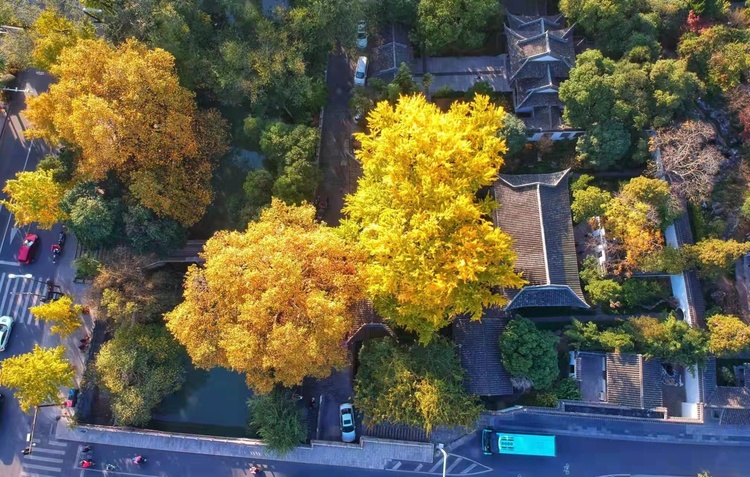 揚州：山明水凈夜來霜 數樹深紅出淺黃