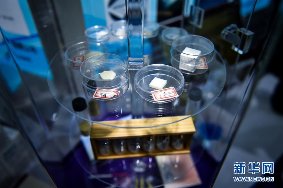 科技创新迎来“中国时间”——来自高交会的前沿观察 科技创新迎来“中国时间”——来自高交会的前沿观察