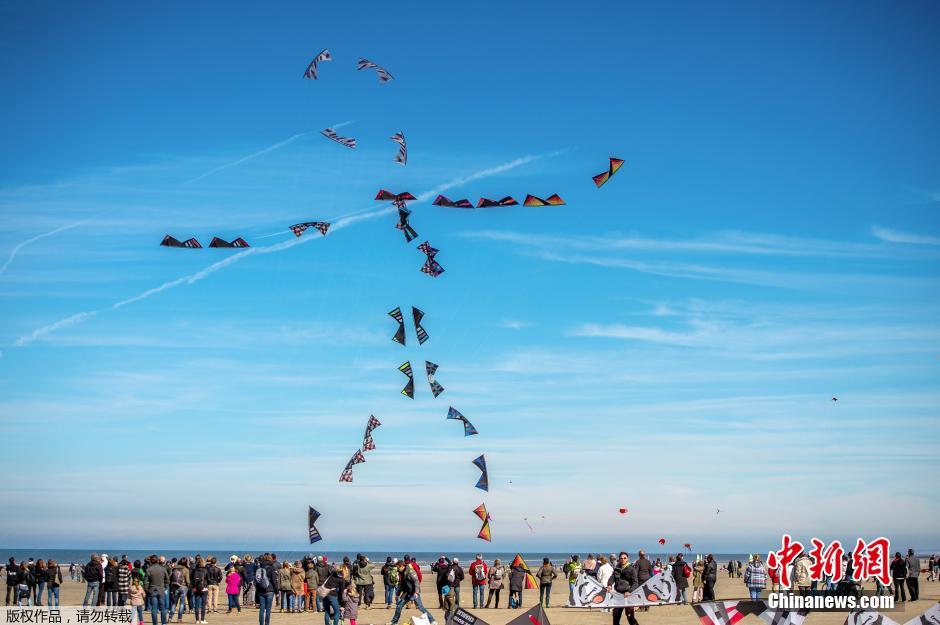 法国举办国际风筝节 不拼高度拼造型