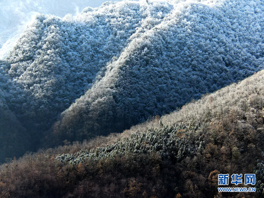 湖北十堰：雪后十八里长峡 半山皑皑半山红