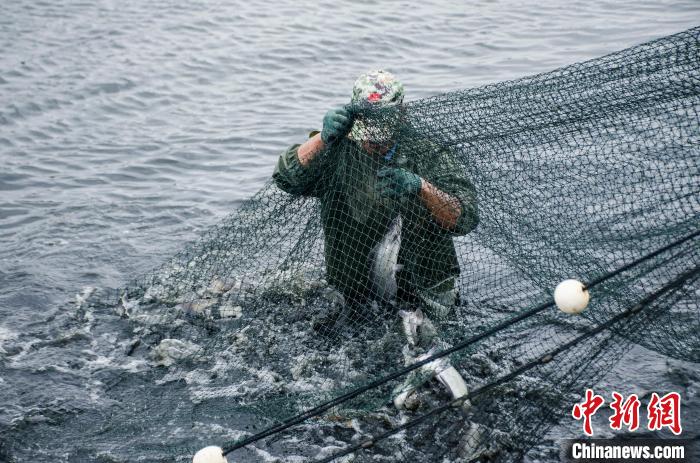 Sana'ar kamun kifi a Guangxi_fororder_5