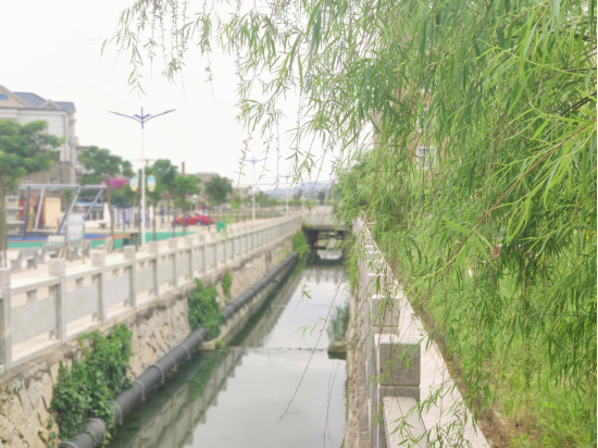 美丽乡村中的美丽河岸——福清市沙埔镇官厅村的治水纪实