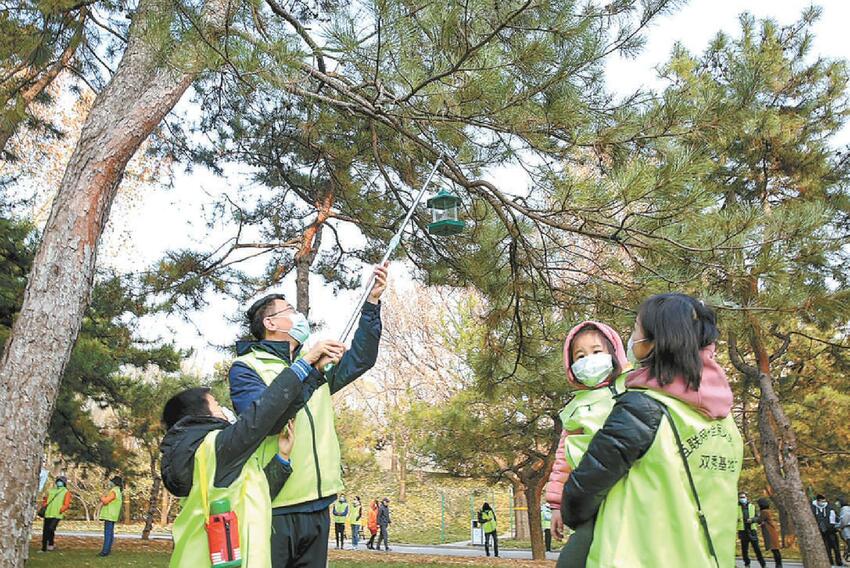 北京市冬季“義務植樹”別樣開啟