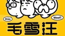 《毛雪汪》等慢综艺聚焦异乡打拼的年轻人