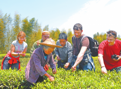 【主流媒體走進閩東茶鄉專題-----閩東茶鄉】寧德：厚植茶産業 綠了鄉野富了百姓