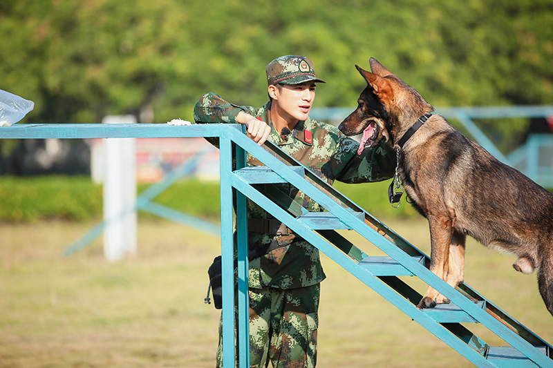 神犬奇兵步枪回家图片