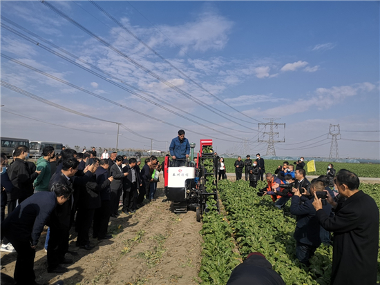 江蘇根莖類蔬菜科技産業發展論壇與品種觀摩會在泰興市舉行_fororder_9