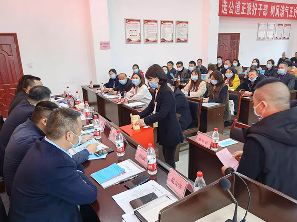 雅安雨城区：倾听民声解民忧 服务民生暖民心_fororder_镇人代会上民生实事项目满意度测评投票