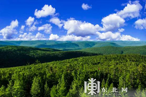 【龙游天下】大兴安岭地区入选首批国家森林步道