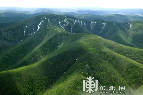 【龍遊天下】大興安嶺地區入選首批國家森林步道