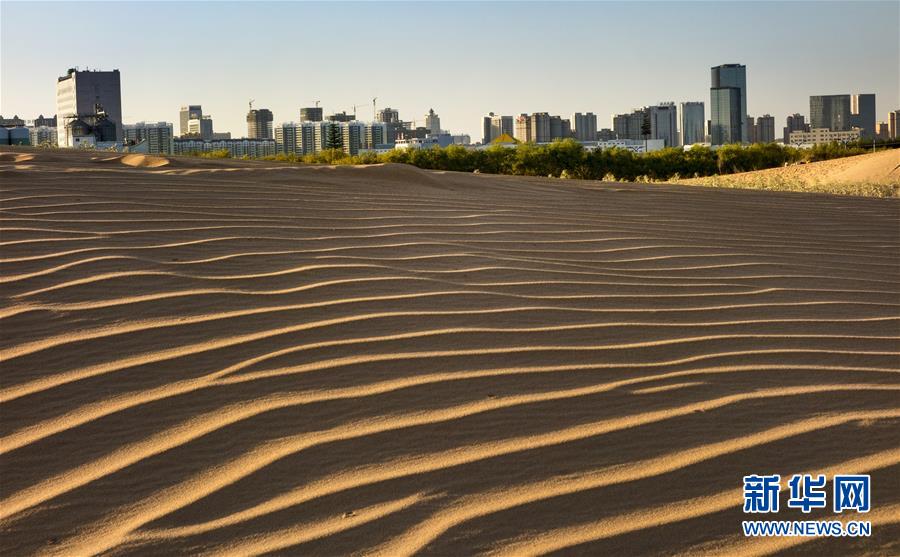 2015年6月拍摄的榆林市南郊沙漠与城市共存的景象。  新华社发（张晋国 摄）