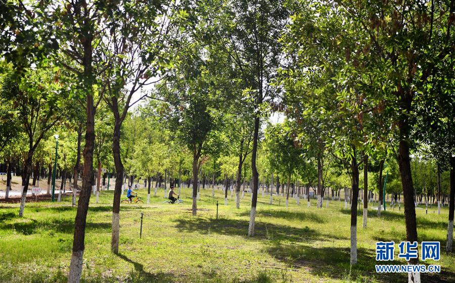 5月24日，市民在榆林市城市公园休闲。 新华社记者 陶明 摄