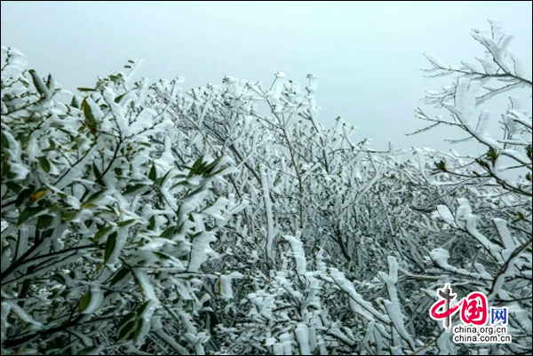 湖南南山國家公園迎今冬首場霧凇 景色如畫