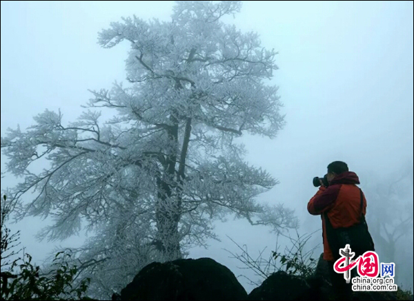 湖南南山國家公園迎今冬首場霧凇 景色如畫