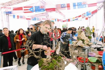 靖江成为首个“中国山水盆景名城” 靖江成为首个“中国山水盆景名城”