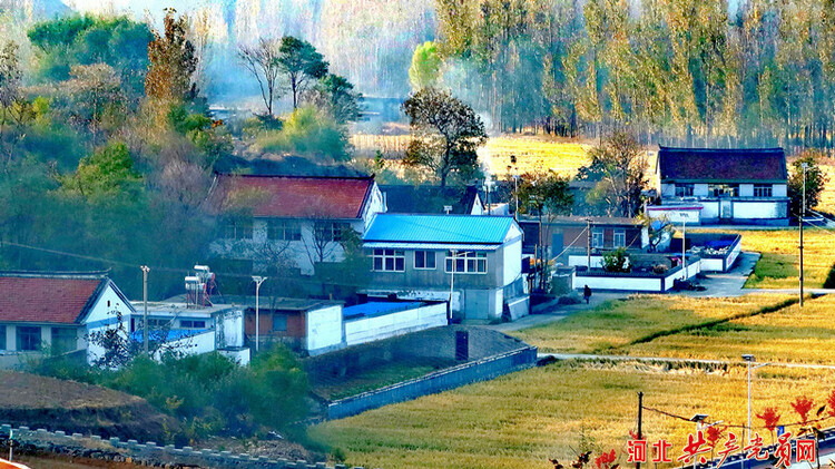 遷安樓子山村:稻穀飄香美如畫