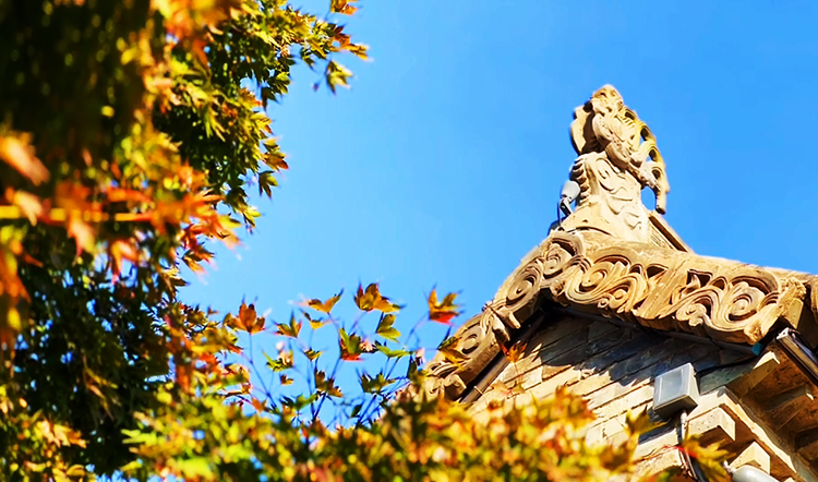 “皖北豫园”叠翠流金