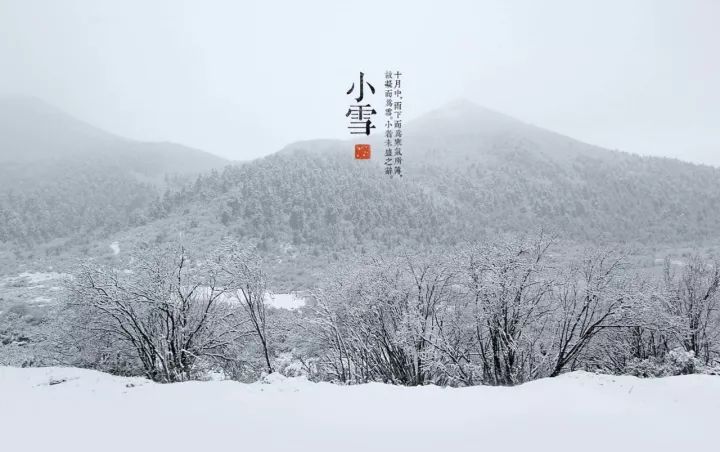 “小雪”来了|绝爱初冬万瓦霜，愿有人陪你