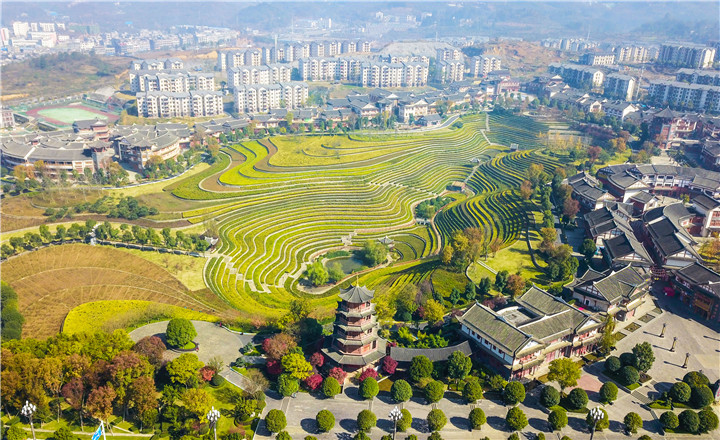 大方古彝梯田图片