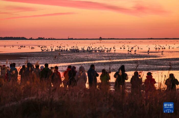 안개 자욱한 산동 영성의 백조의 호수_fororder_7