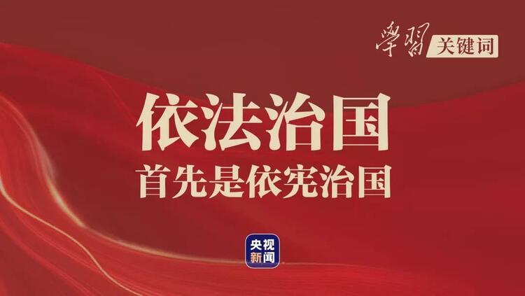 学习关键词丨百年大党引领依宪治国