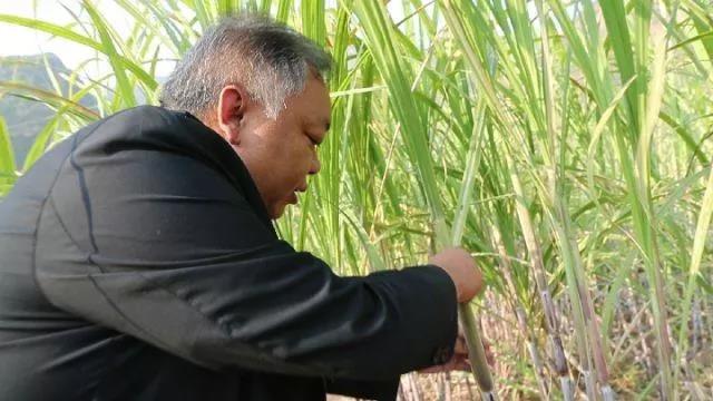 今天，祝98歲的你生日快樂！向矢志不渝的初心致敬
