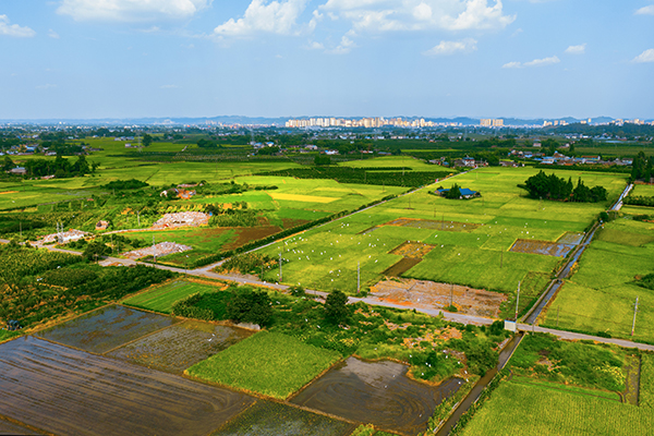 眉山彭山：蓝天碧水相辉映 生态彭山入画来_fororder_生态彭山-供图-彭山区委宣传部