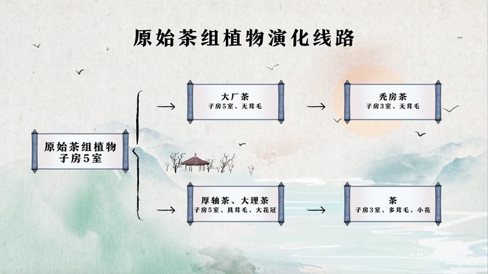 （社會）牛素貞博士：從進化觀點談貴州世界茶源地