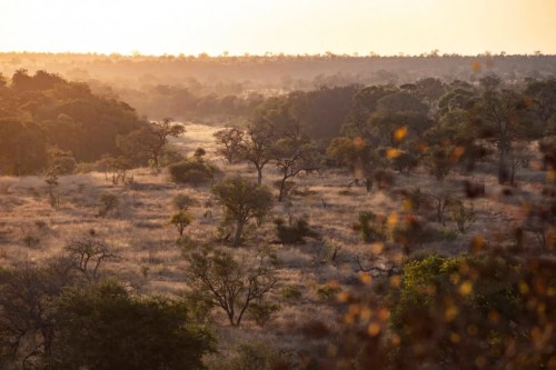 汽车频道【供稿】以一份壮阔向辽阔出发 BMW X7《阔境人生》震撼开启