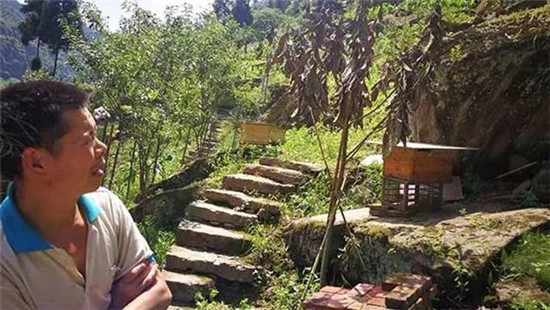 綦江白峰村蜜蜂酿出贫困户的甜蜜生活