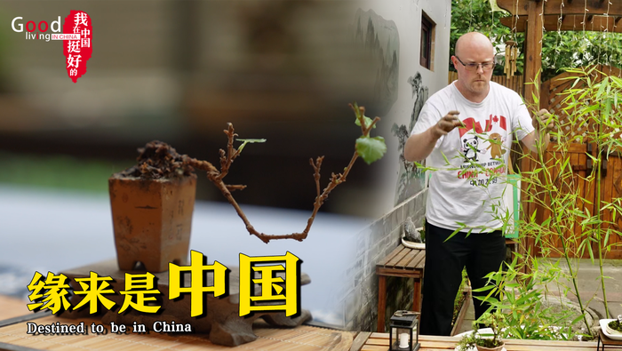 缘来是中国_fororder_推荐图片_20211207110623