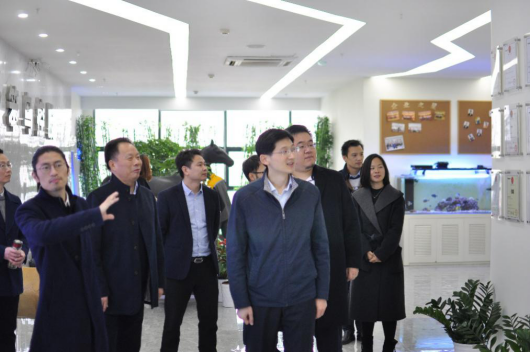 滨江区统战部谢部长莅临参观指导笨鸟控股总部