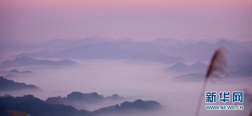 湖北來鳳：山村冬晨雲海蒼茫