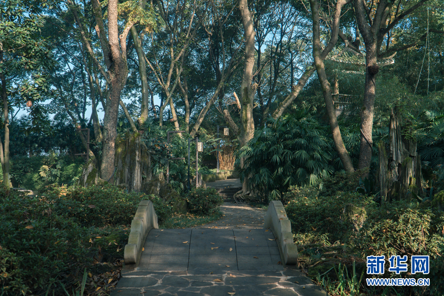 延续城市记忆 保护性修复让百年历史老公园绽放新颜值