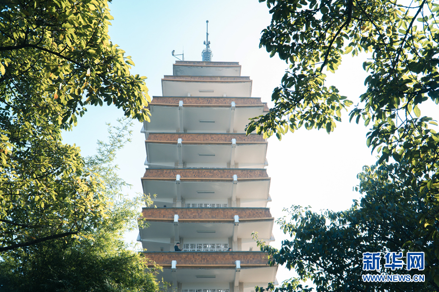 延续城市记忆 保护性修复让百年历史老公园绽放新颜值