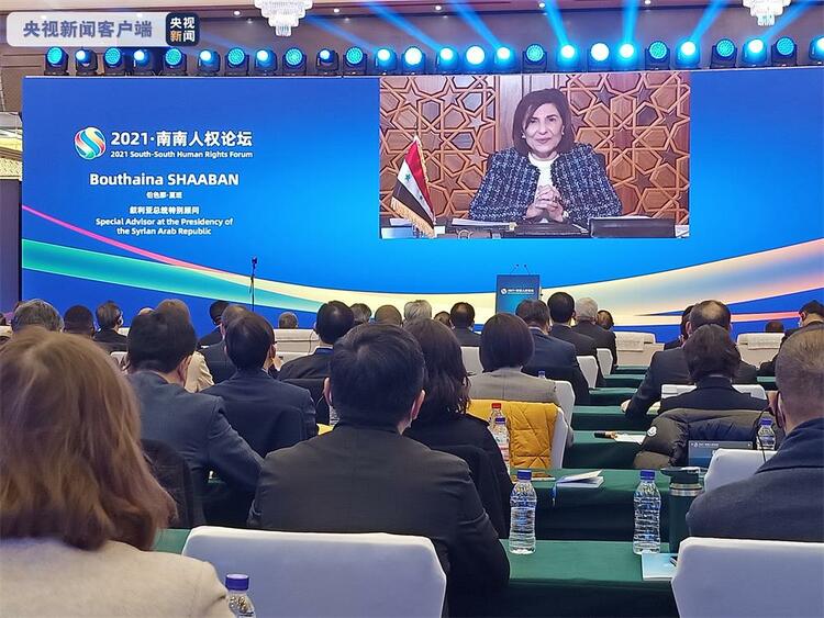 叙利亚总统特别顾问：我们知道西方嘴里的“民主”意味着什么