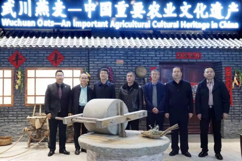 武川燕麦再获“国字号” 入选“中国重要农业文化遗产”