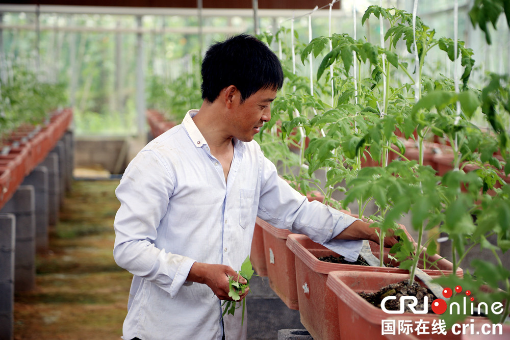 無邊欄【CRI專稿 圖文】重慶彭水：“旅遊+農業”走出扶貧新路徑