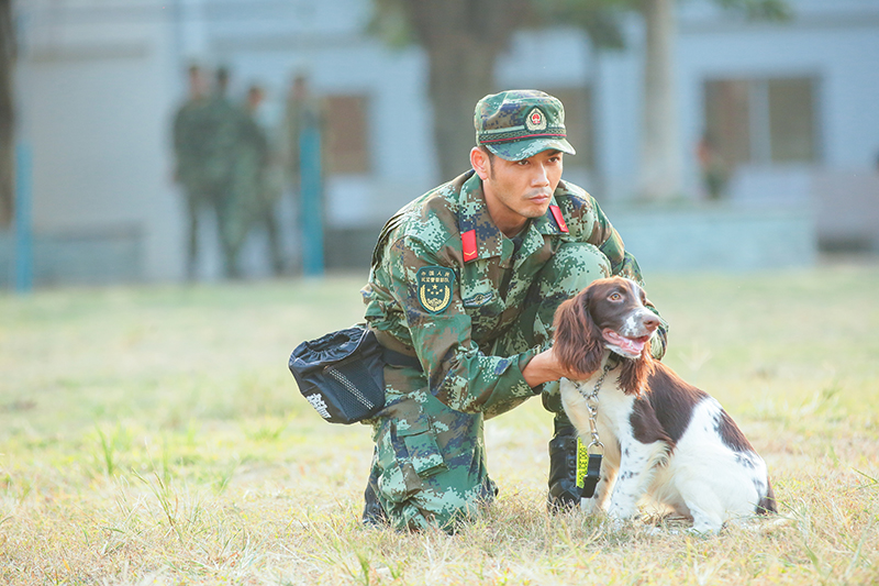 杨烁《奇兵神犬》展多样魅力 携警犬上演情感剧