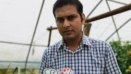 【外媒看陜西】巴基斯坦黎明電視臺記者穆罕默德·伊姆蘭：加強交流合作 促進農業技術共同發展