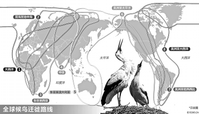 【豫见国际列表】河南：候鸟正南迁 湿地拉起“保护线”