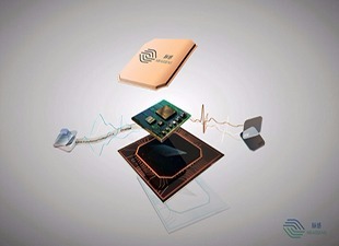 脉感™技术：血压测量新纪元