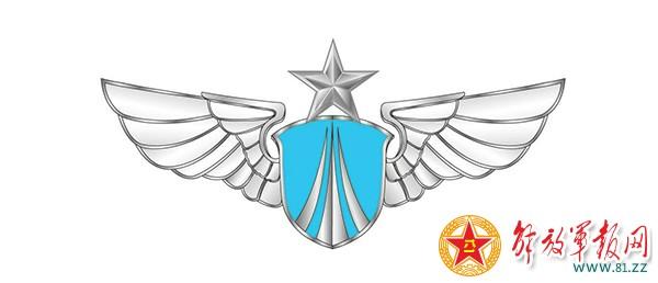 主设计师揭秘解放军15式系列臂章胸标(组图)