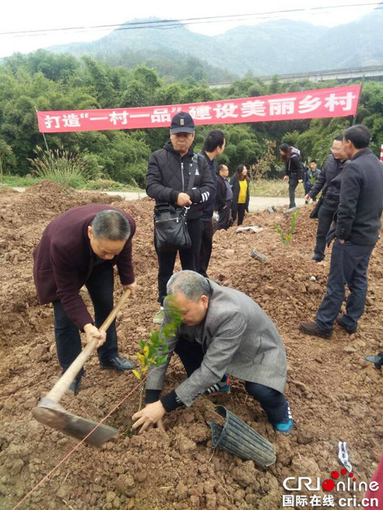 已过审【区县联动】【綦江】綦江区永城镇:果树技术培训助乡村振兴