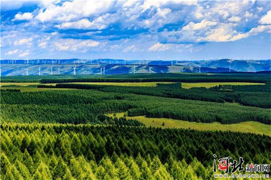 图片默认标题_fororder_b0cb0a92-0280-4f7a-842d-e30a407b1212_batchwm