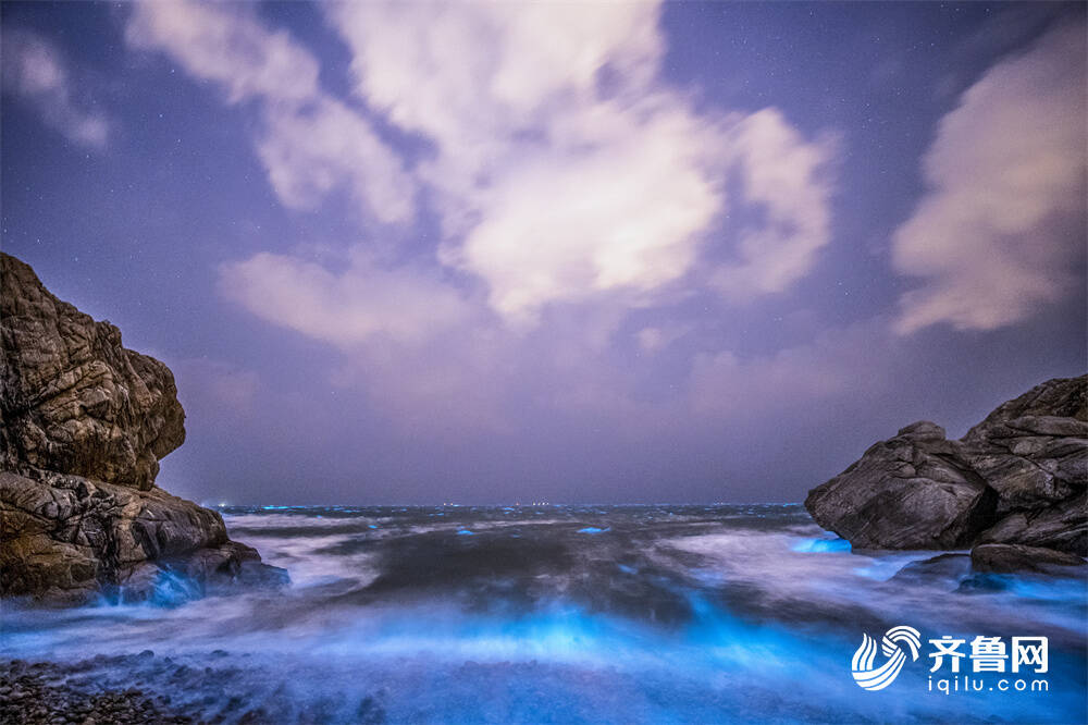 組圖｜威海現絕美“熒光海” 奪目似星河